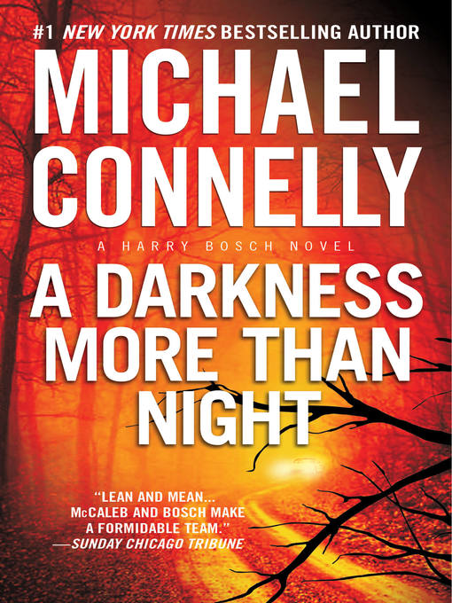 Title details for A Darkness More Than Night by Michael Connelly - Wait list